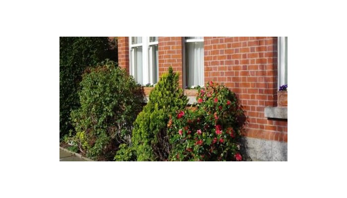 Hotel Glenogra Guesthouse poza 16