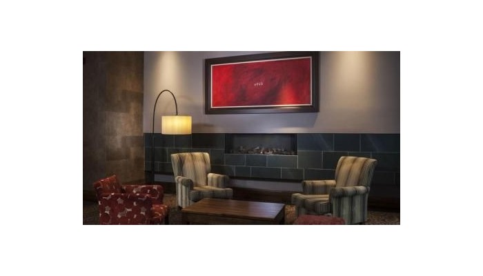 Hotel Hilton Dublin City poza 27