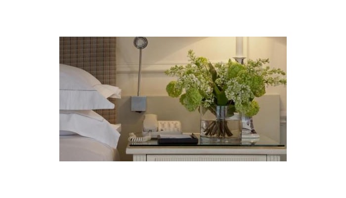 Hotel Merrion poza 23