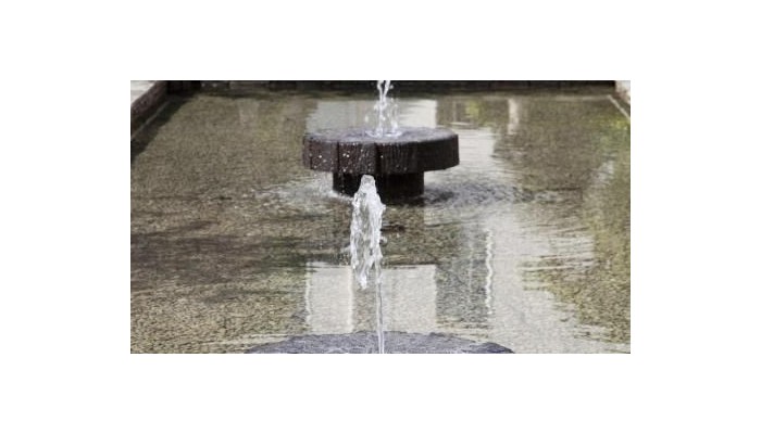 Hotel Merrion poza 19