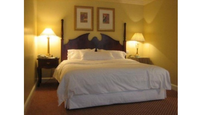 Hotel Westin Dublin poza 1